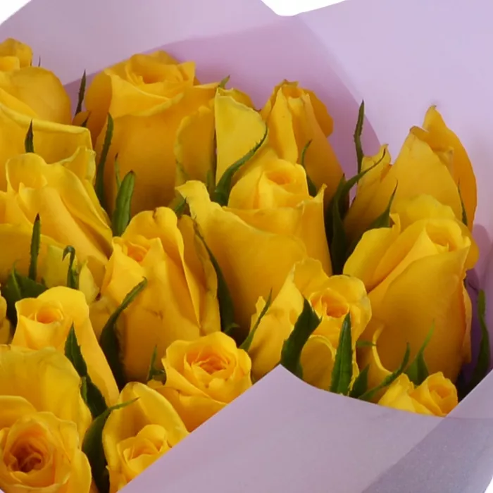 19 желтых роз