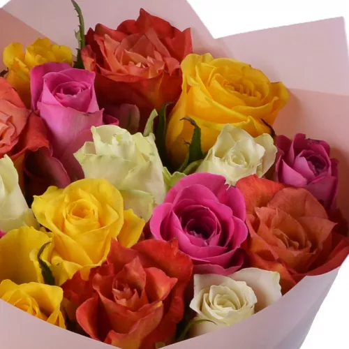 19 разноцветных роз 40 см