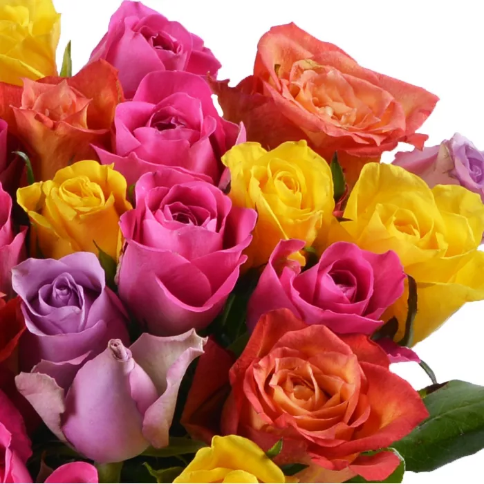 25 разноцветных роз