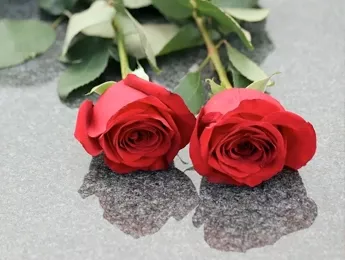 Почему нельзя дарить четное количество цветов Почему нельзя дарить четное количество цветов