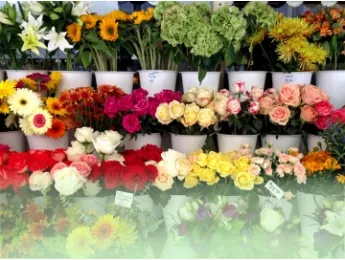 Как правильно выбирать цветы? Как правильно выбирать цветы?