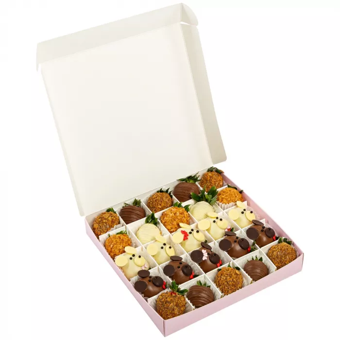 Набор из 25 клубник в шоколаде "Медвежий бал"