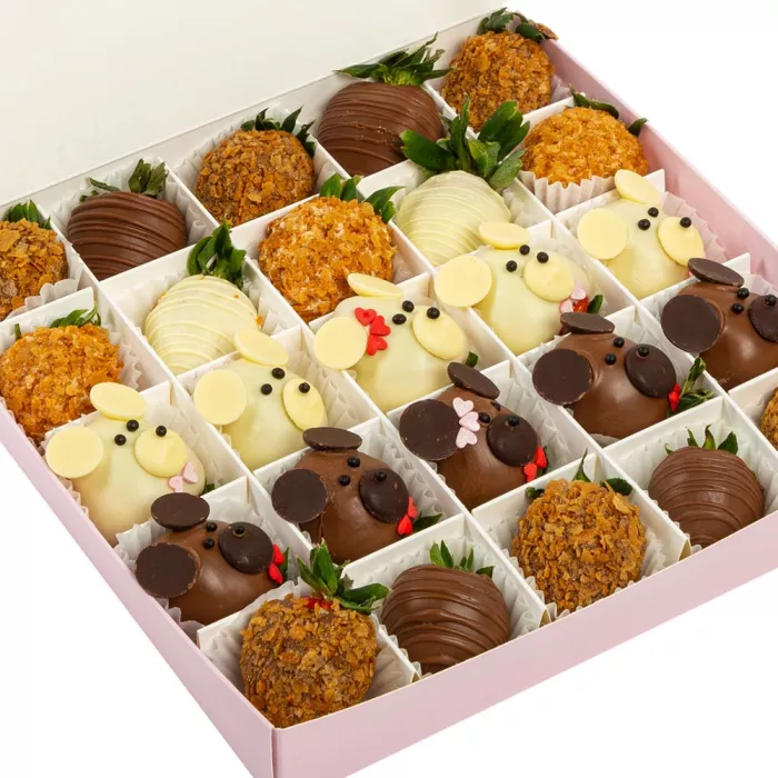 Набор из 25 клубник в шоколаде "Медвежий бал"