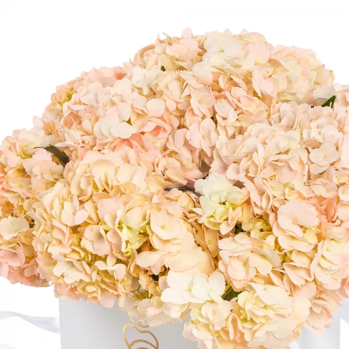 Коробка - сюрприз с клубникой «Воздушный поцелуй»