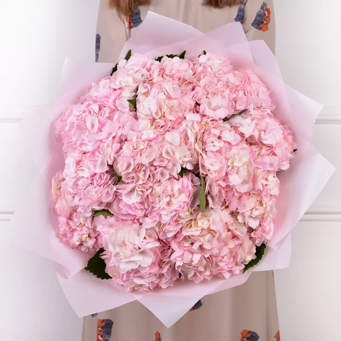 15 розовых гортензий