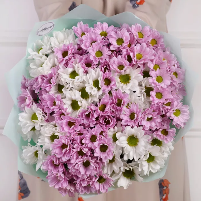 15 белых и розовых хризантем