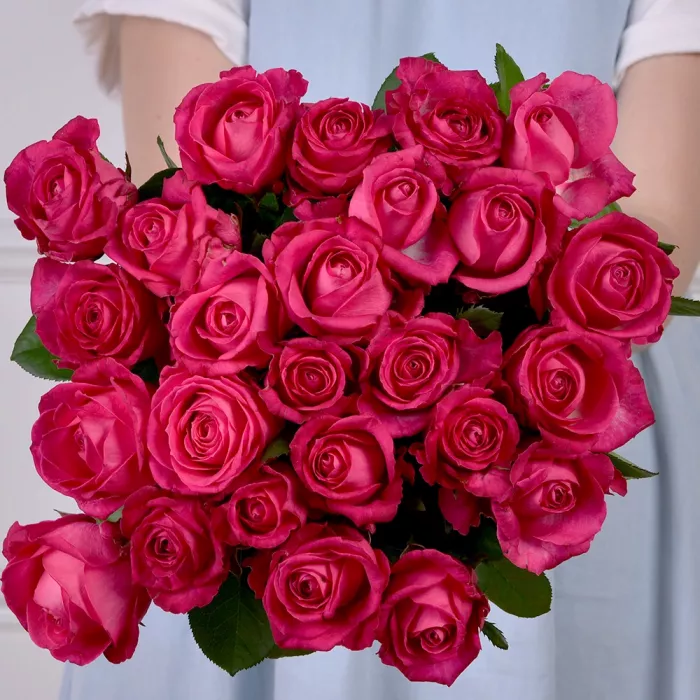 Букет из 25 малиновых роз 60 см