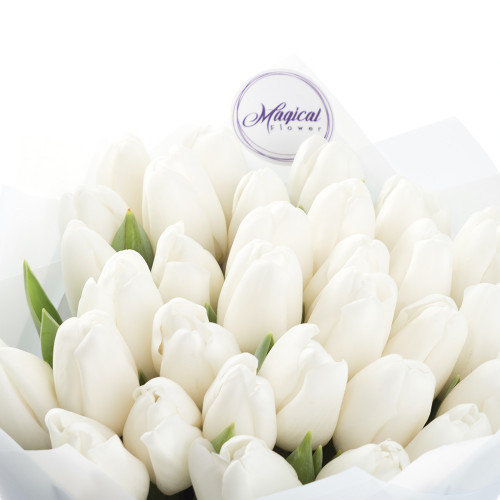 Монобукет из 31 белого тюльпана