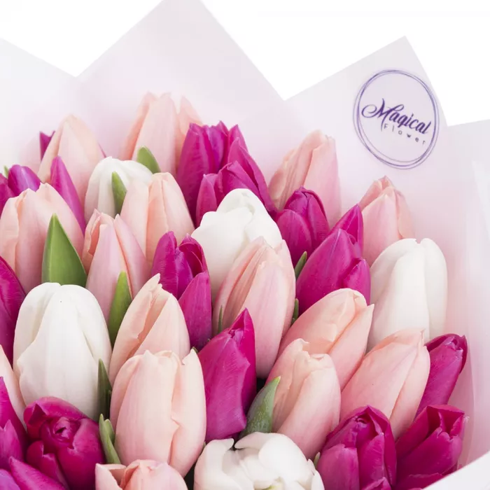 51 разноцветный тюльпан в пленке