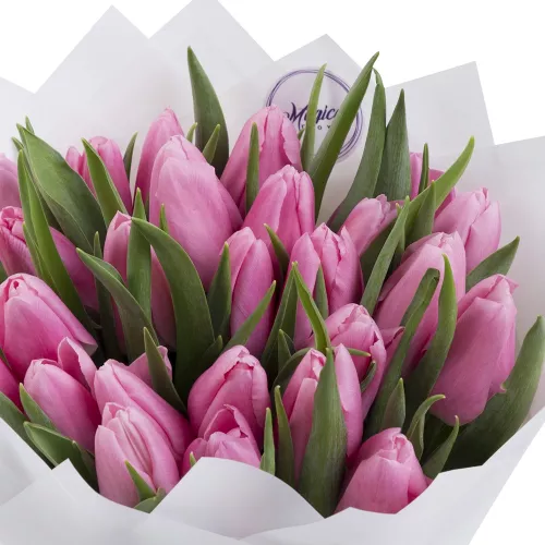 25 розовых красивых тюльпанов