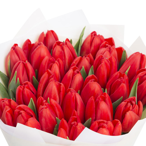 Букетик из 25 красных тюльпанов