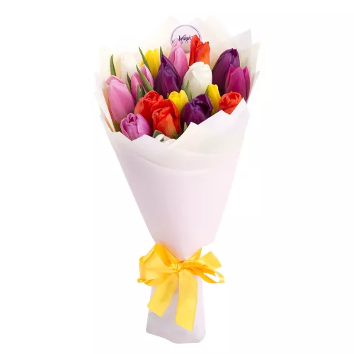 19 разноцветных тюльпанов