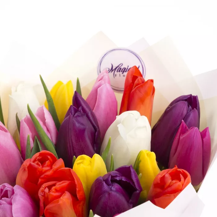 19 разноцветных тюльпанов