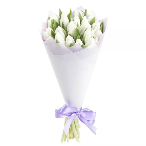 19 белых тюльпанов
