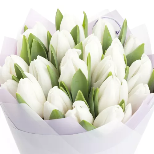 19 белых тюльпанов