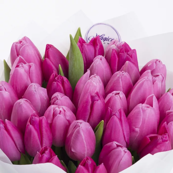 31 розовый тюльпан