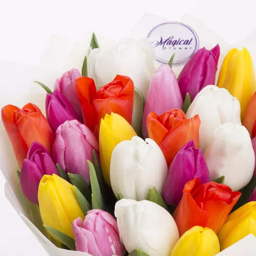 Монобукет цветов из 25 разноцветных тюльпанов