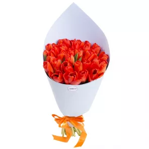 31 оранжевый тюльпан