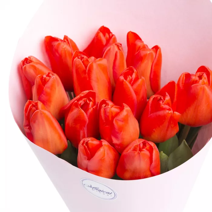 15 оранжевых тюльпанов