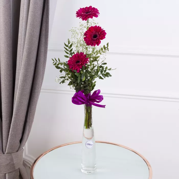 Букет из малиновых гербер и гипсофил