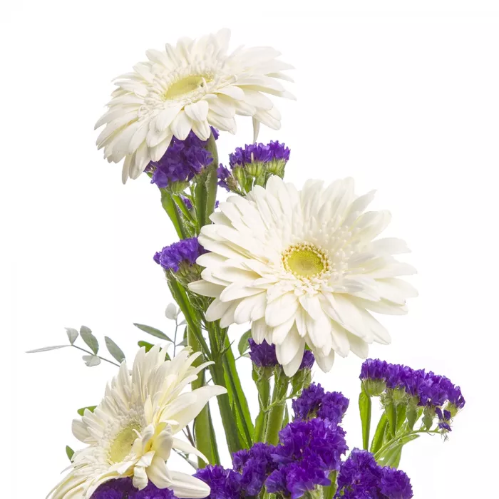 Букет из белых гербер и статицы