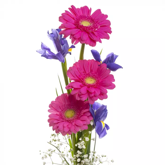 Букет из розовых гербер и ирисов