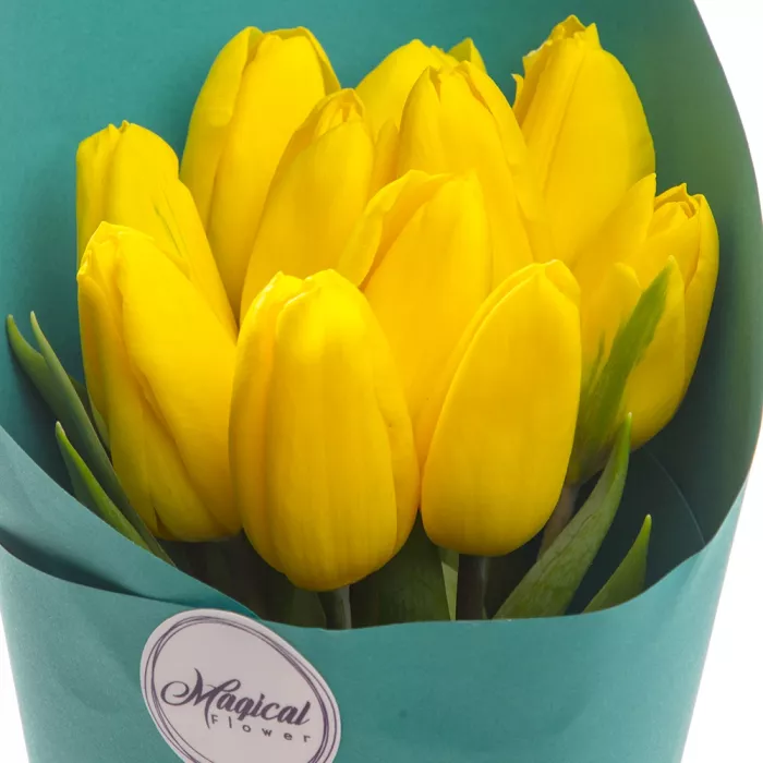 11 желтых тюльпанов