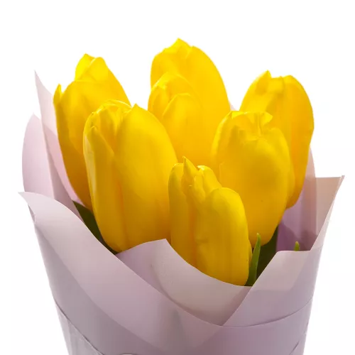 7 желтых тюльпанов