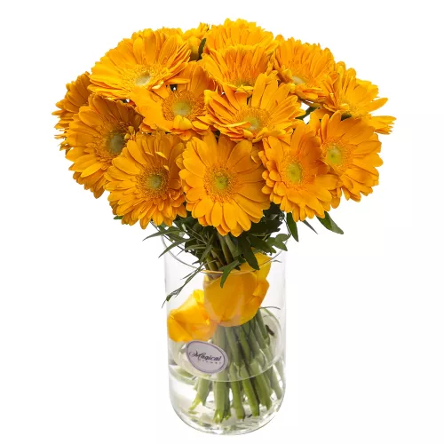 Букет из 21 желтой герберы