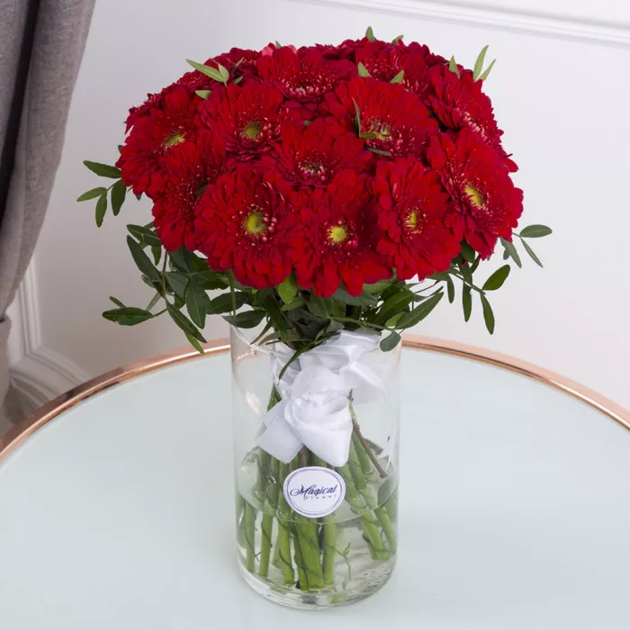 21 красная гербера