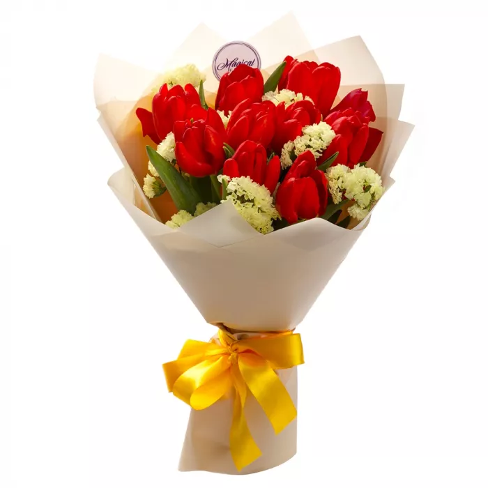 11 красных тюльпанов со статицей 11 красных тюльпанов со статицей