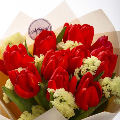 11 красных тюльпанов со статицей