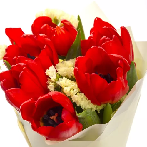 Красные тюльпаны 7 шт. со статицей