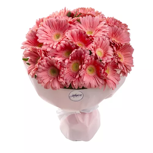 21 розовая гербера