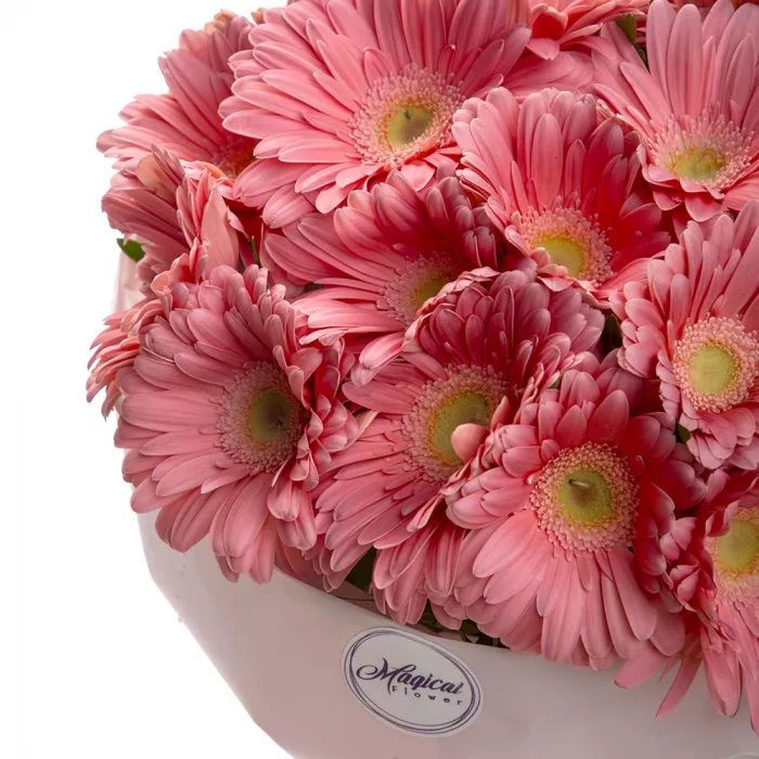 21 розовая гербера