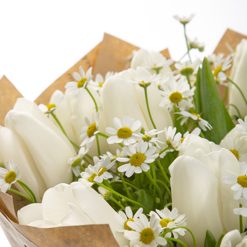 15 белых тюльпанов с танацетумом