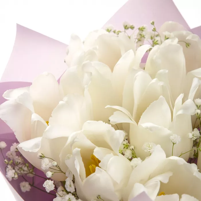 7 белых тюльпанов 7 белых тюльпанов