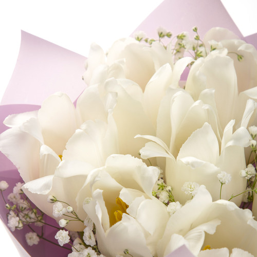 Белые тюльпаны 7 шт.