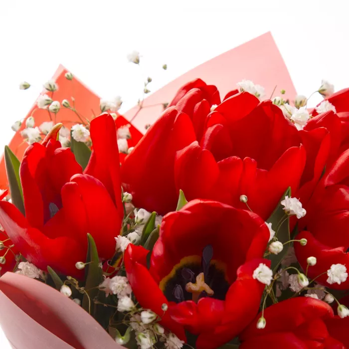 7 красных тюльпанов