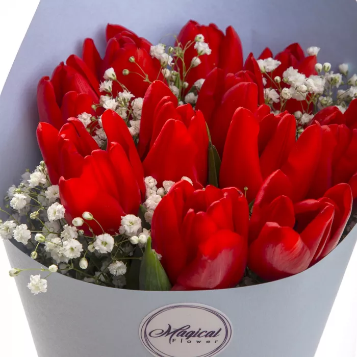 11 оранжевых тюльпанов с гипсофилой