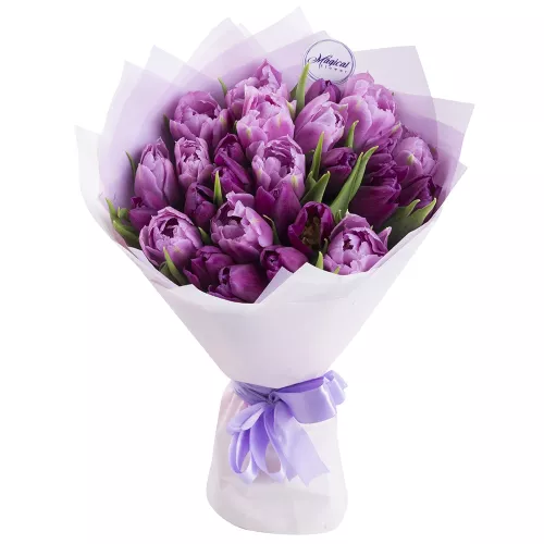 Букет из 25 сиреневых тюльпанов