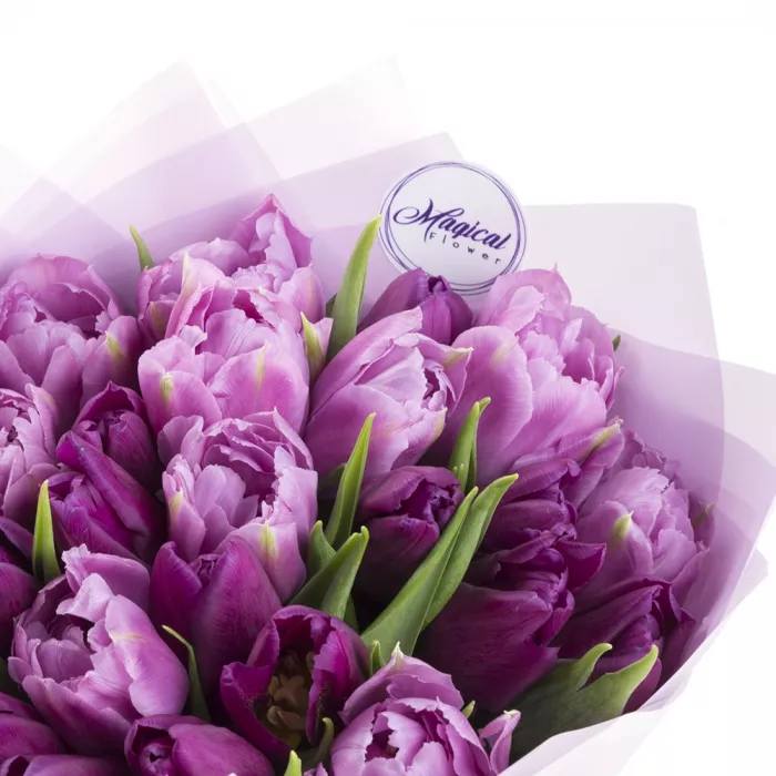 Букет из 25 сиреневых тюльпанов