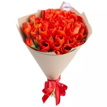 35 оранжевых тюльпанов