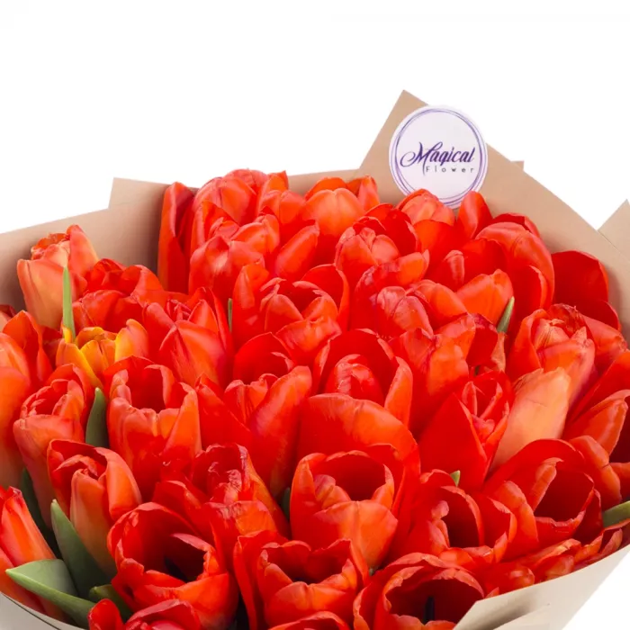 35 оранжевых тюльпанов