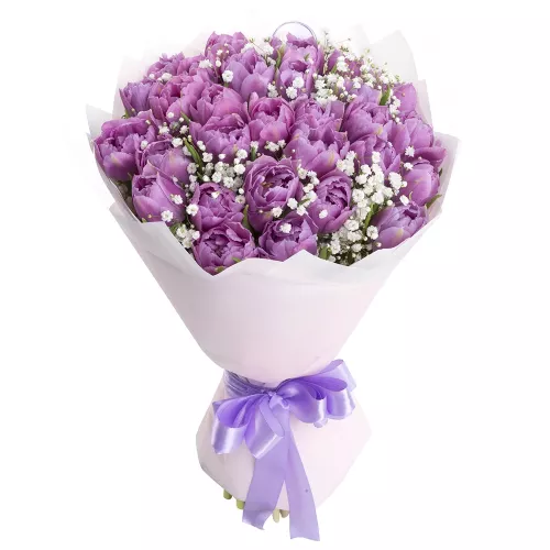 29 фиолетовых тюльпанов с гипсофилой