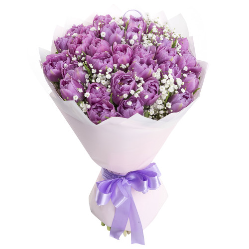 29 фиолетовых тюльпанов с гипсофилой