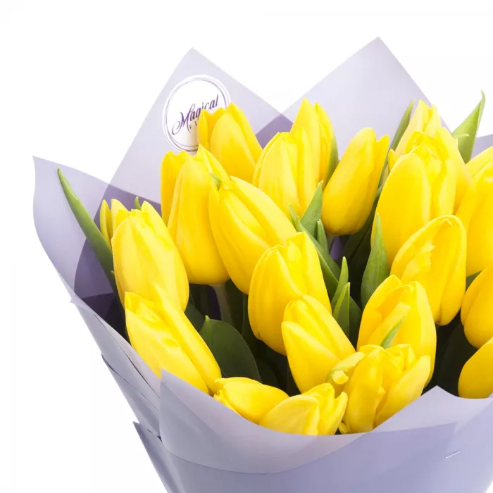 25 желтых тюльпанов