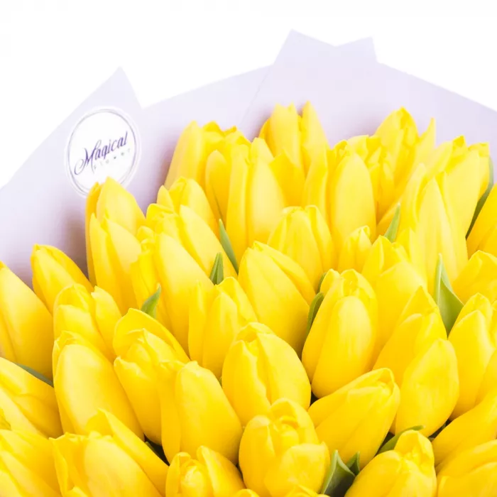 35 желтых тюльпанов