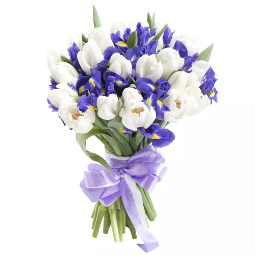 Белые тюльпаны 25 шт. с ирисом