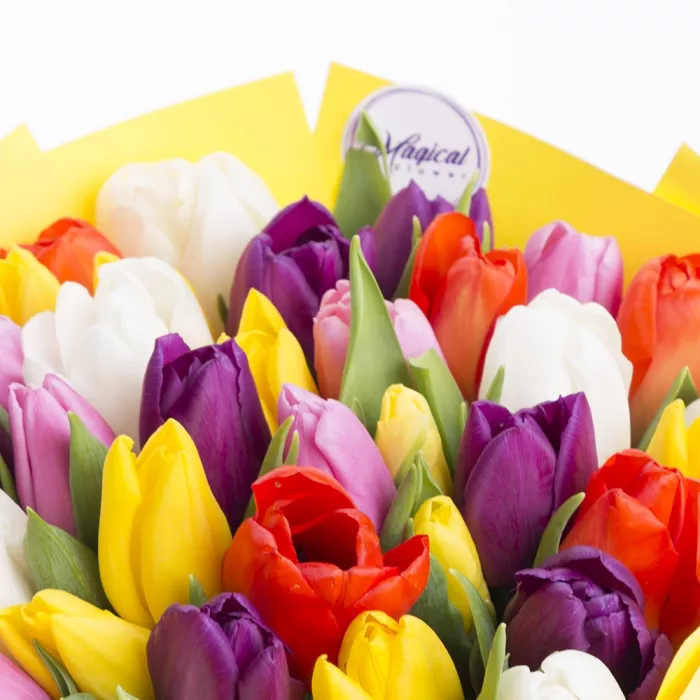 35 разноцветных тюльпанов